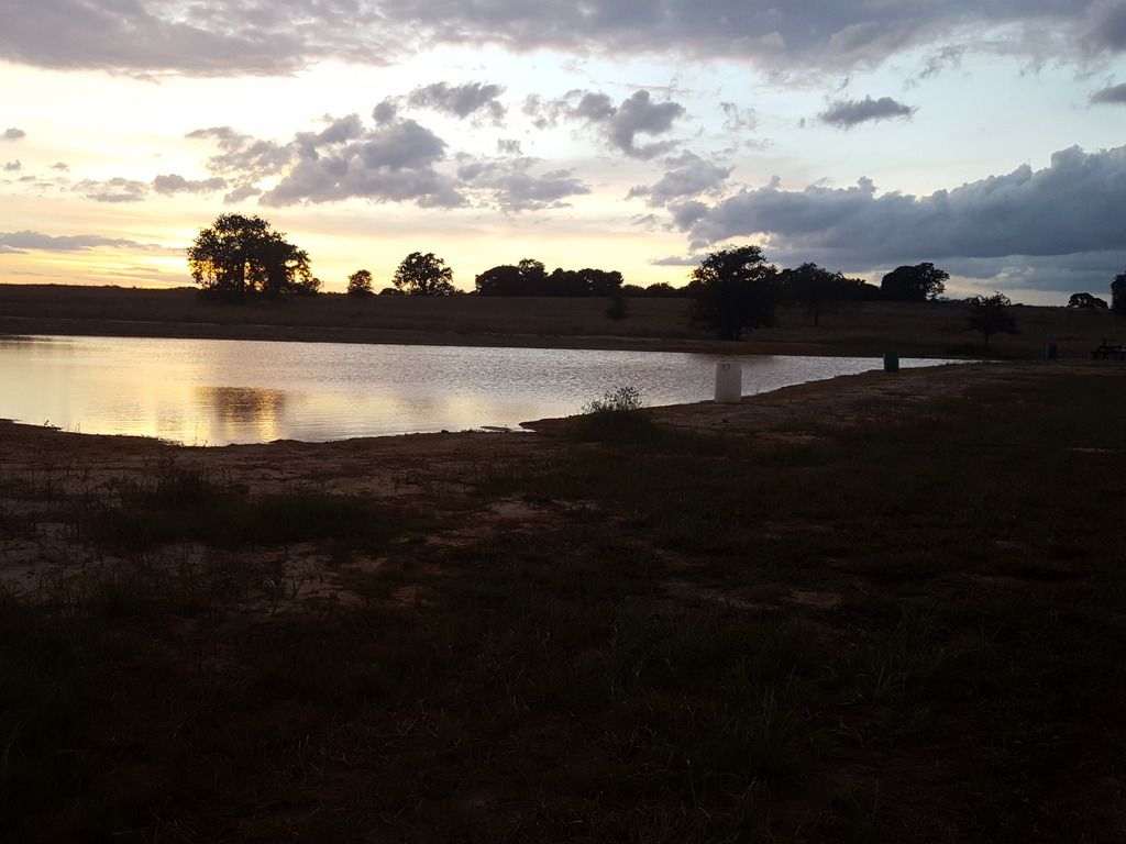 Getting ready to clear up 1/2 acre pond gypsum Pond Boss Forum